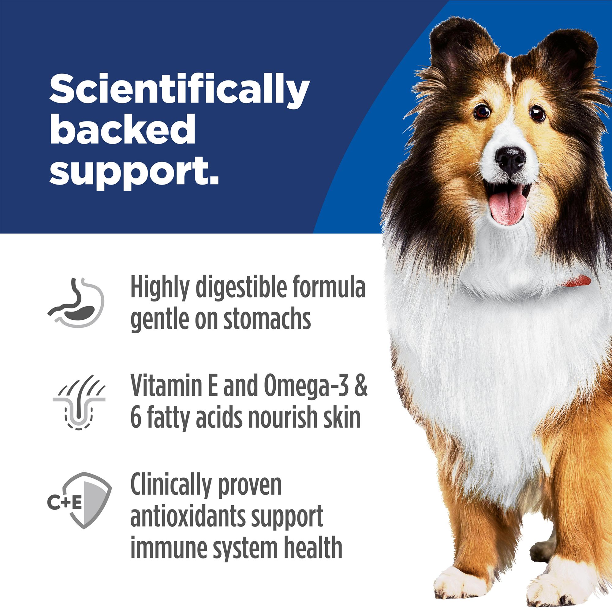 Hill's Science Diet Adult Wet Dog Food for Sensitive Stomach & Skin - Image 3