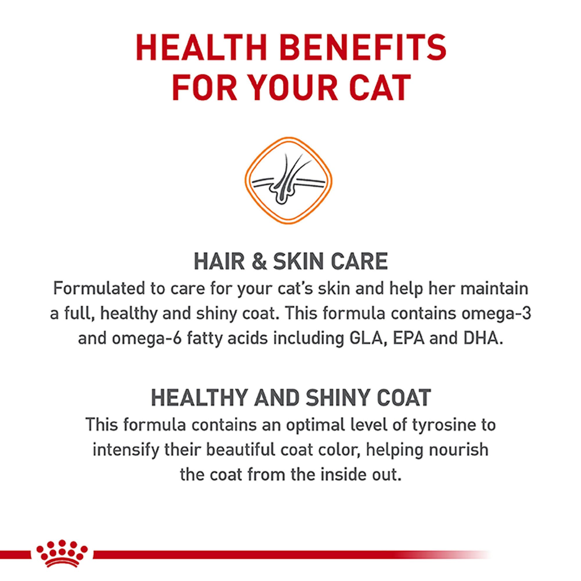 Royal Canin Hair & Skin Dry Adult Cat Food - Image 2