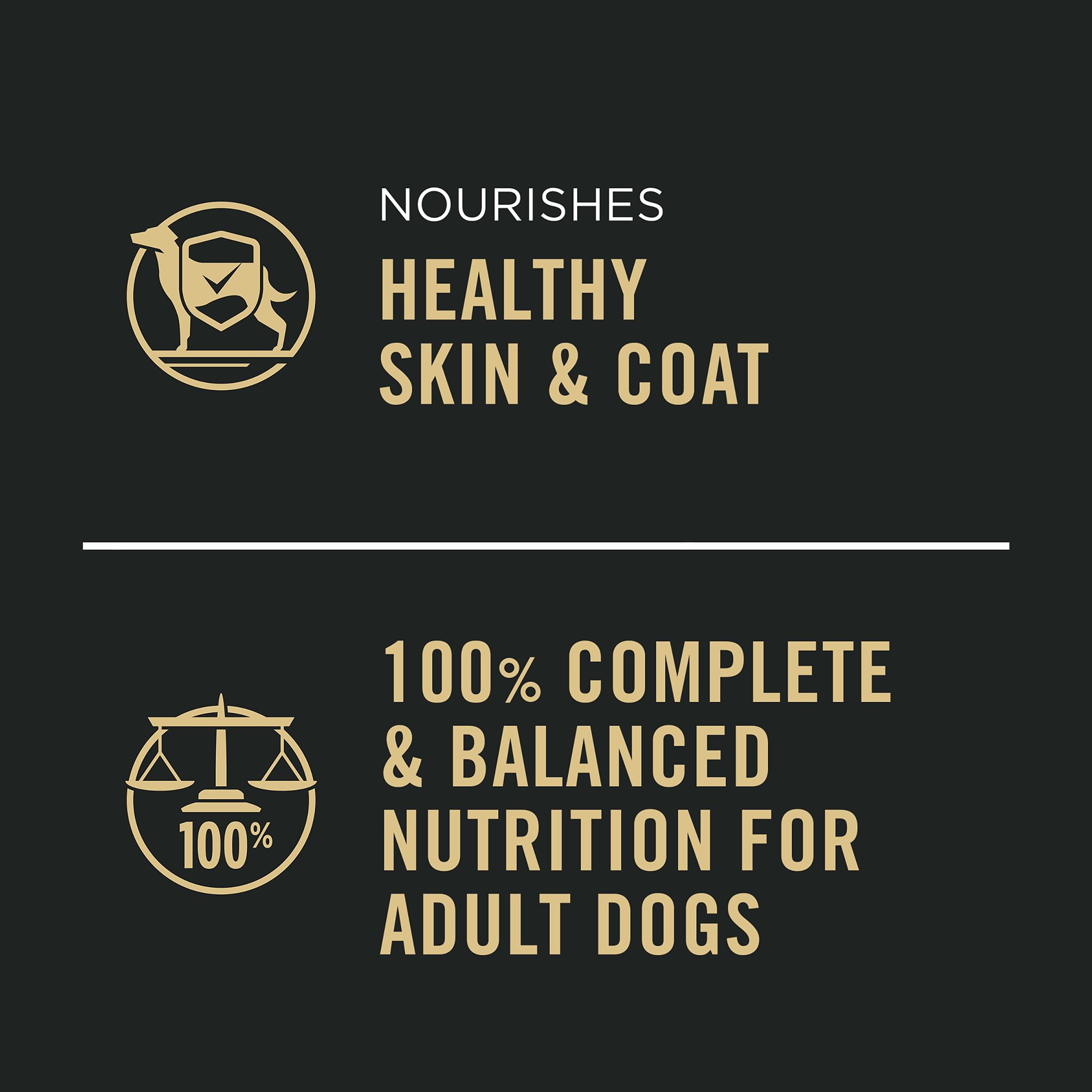 Purina Pro Plan Complete Essentials Adult Wet Dog Food Variety Pack – Grain Free, 13 oz, 12 Count - Image 7