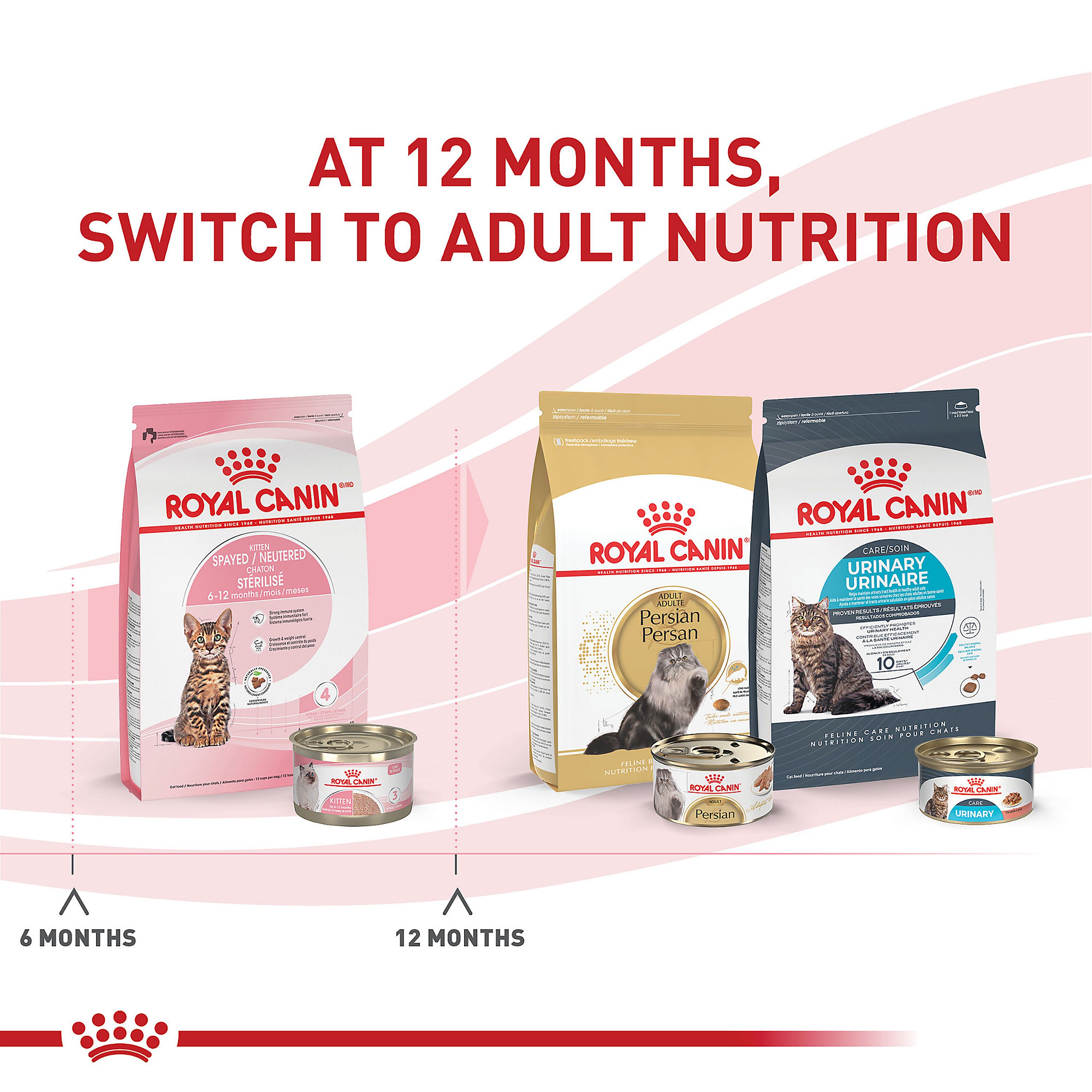 Royal Canin® Feline Health Nutrition Spayed/Neutered Kitten Dry Cat Food - Image 6