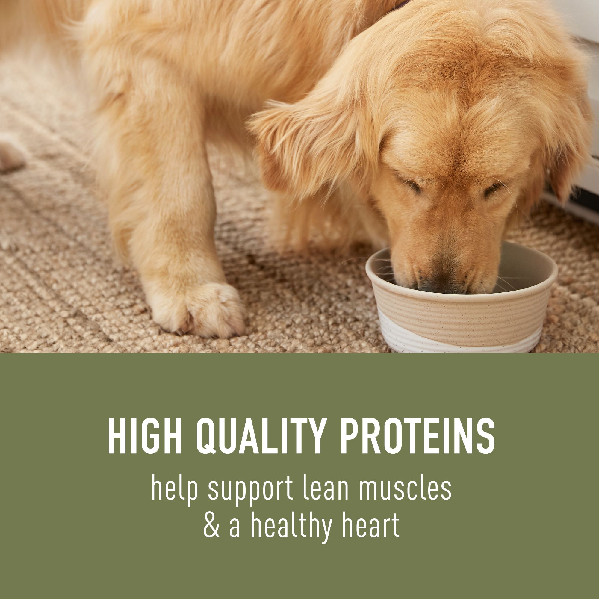Simply Nourish® Original Adult Wet Dog Food - Stew - Image 3