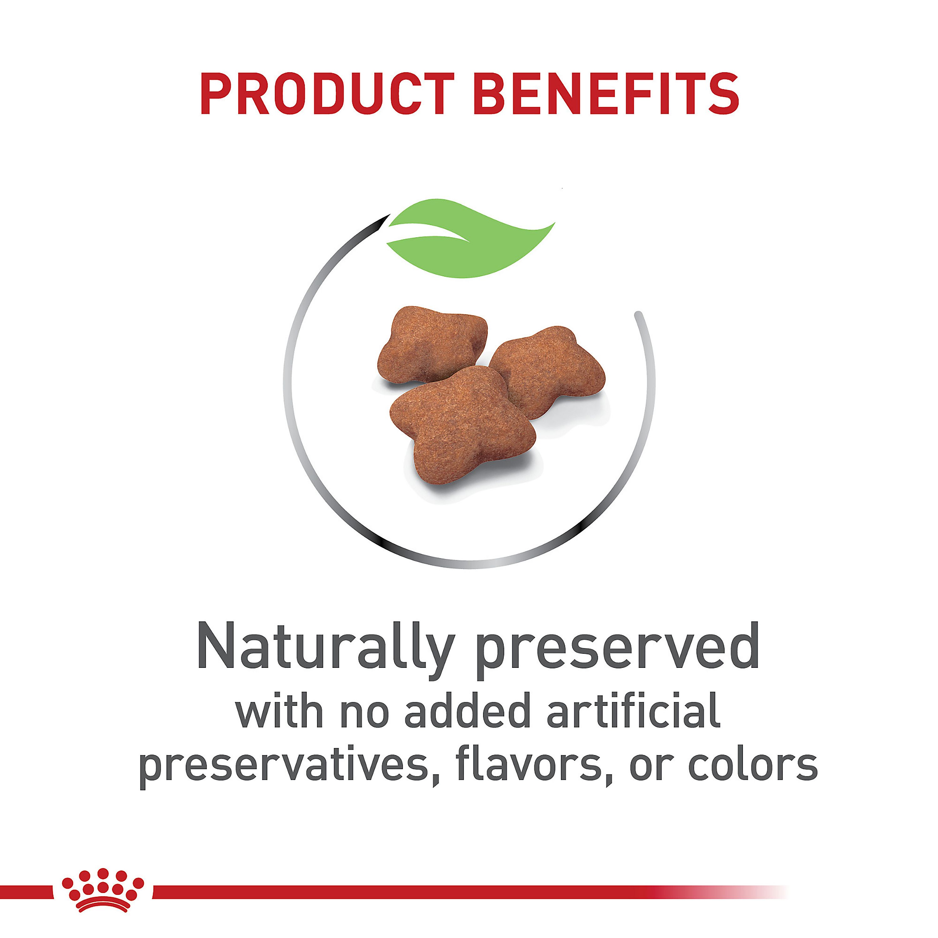 Royal Canin® Feline Health Nutrition Spayed/Neutered Kitten Dry Cat Food - Image 3