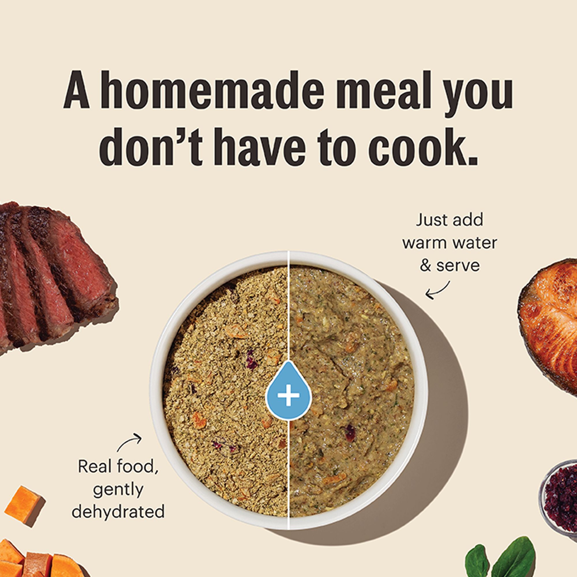 The Honest Kitchen Whole Grain Dehydrated - Image 4