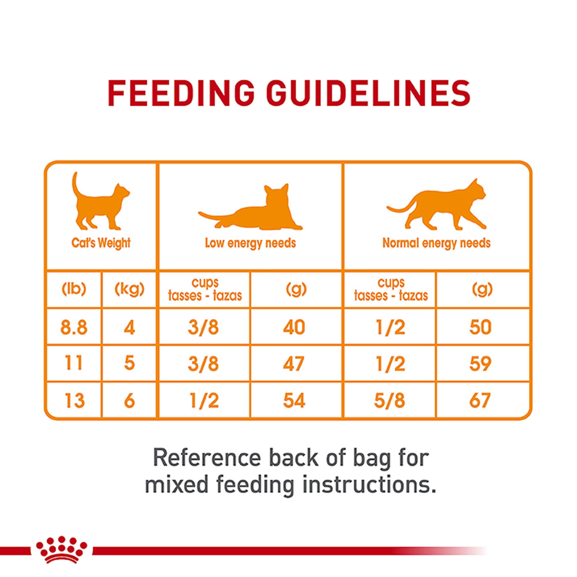 Royal Canin Hair & Skin Dry Adult Cat Food - Image 8