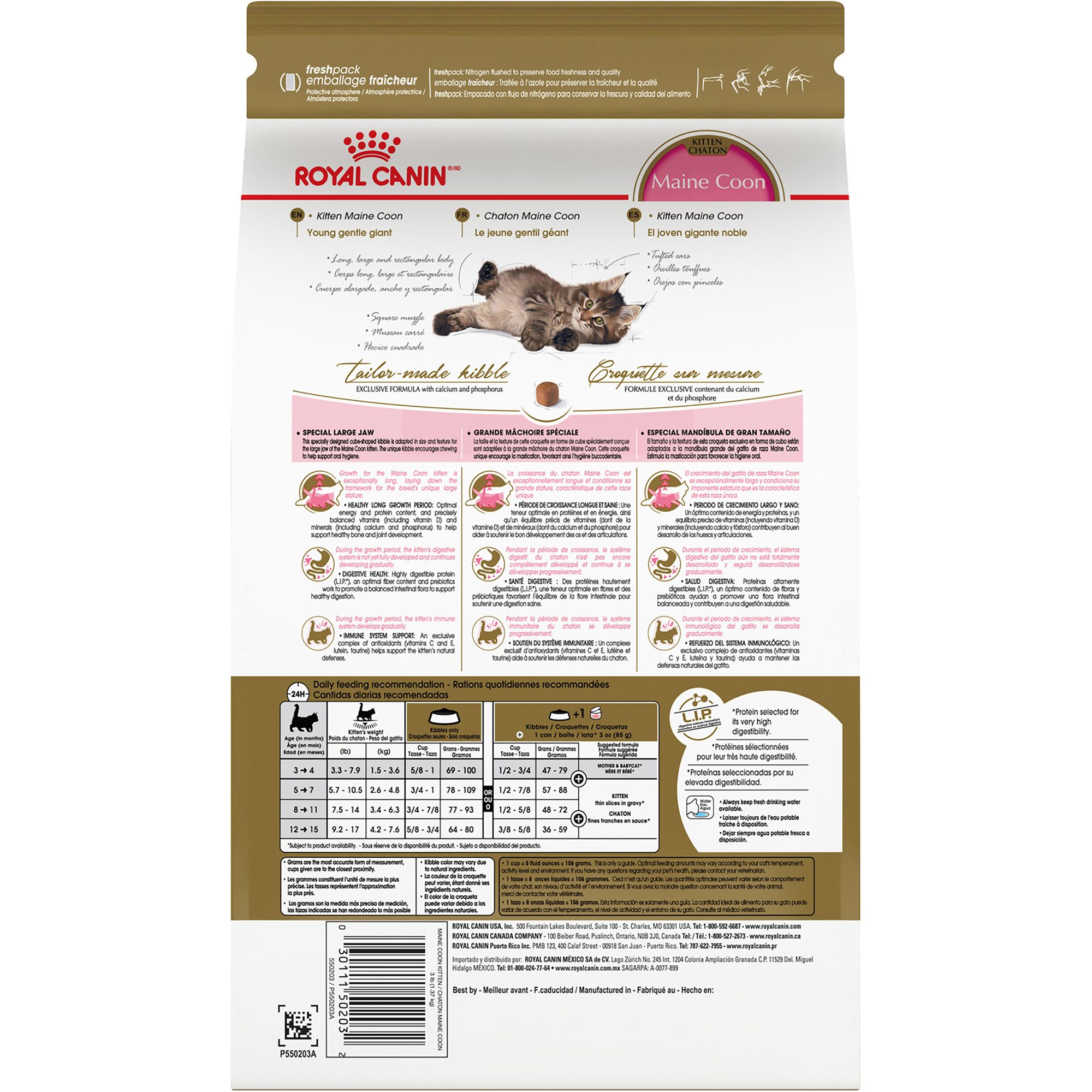 Royal Canin® Feline Breed Nutrition Maine Coon Breed Kitten Dry Cat Food - Image 2