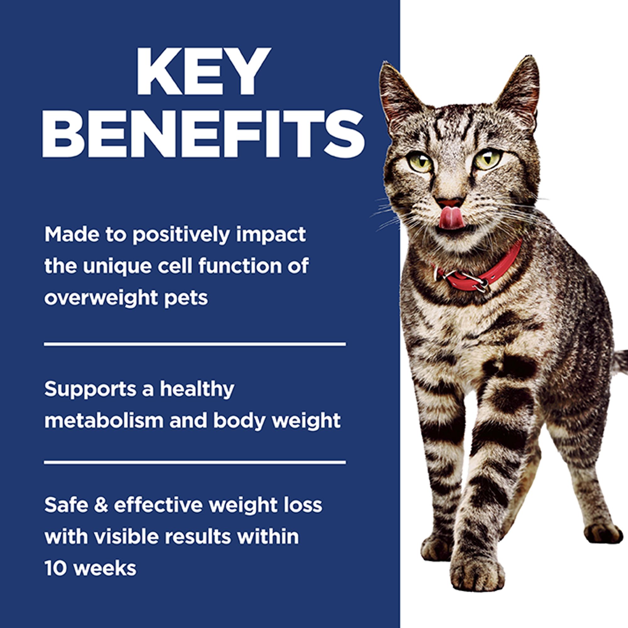 Hill's® Science Diet® Perfect Weight Adult Dry Cat Food - Chicken - Image 5