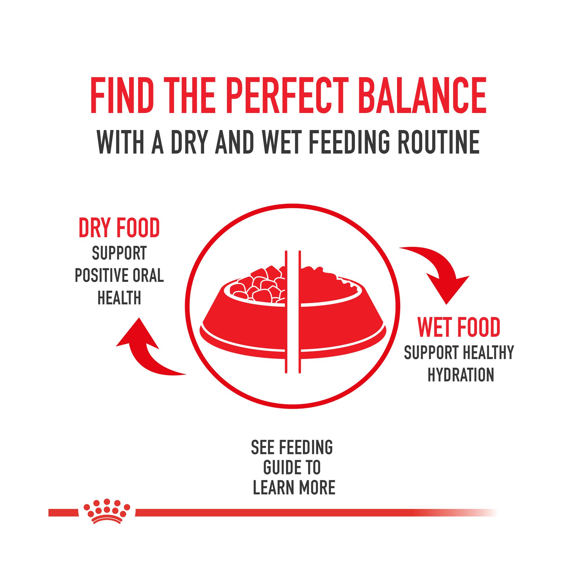 Royal Canin Size Health Nutrition Starter Mousse Wet Dog Food for Mother & Babydog - Image 9