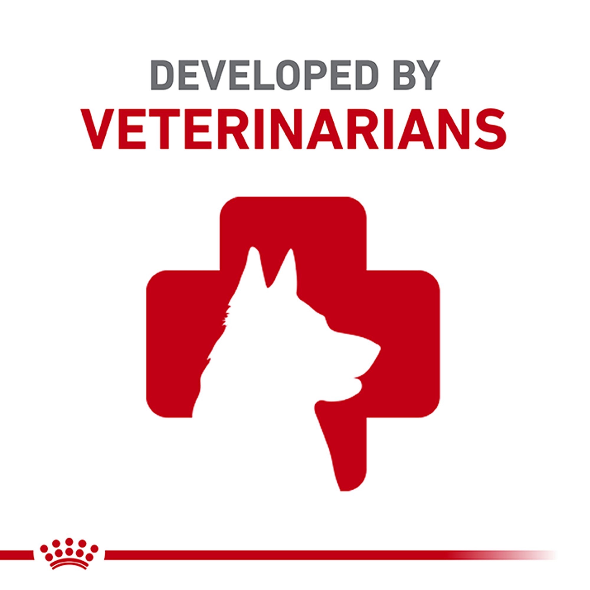 Royal Canin Canine Health Nutrition Beauty Adult Wet Dog Food – Loaf in Sauce - Image 5