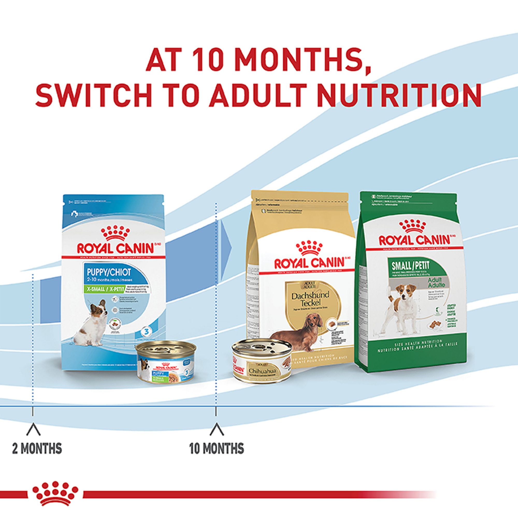 Royal Canin Size Health Nutrition X-Small Breed Puppy Dog Wet Food - Image 5
