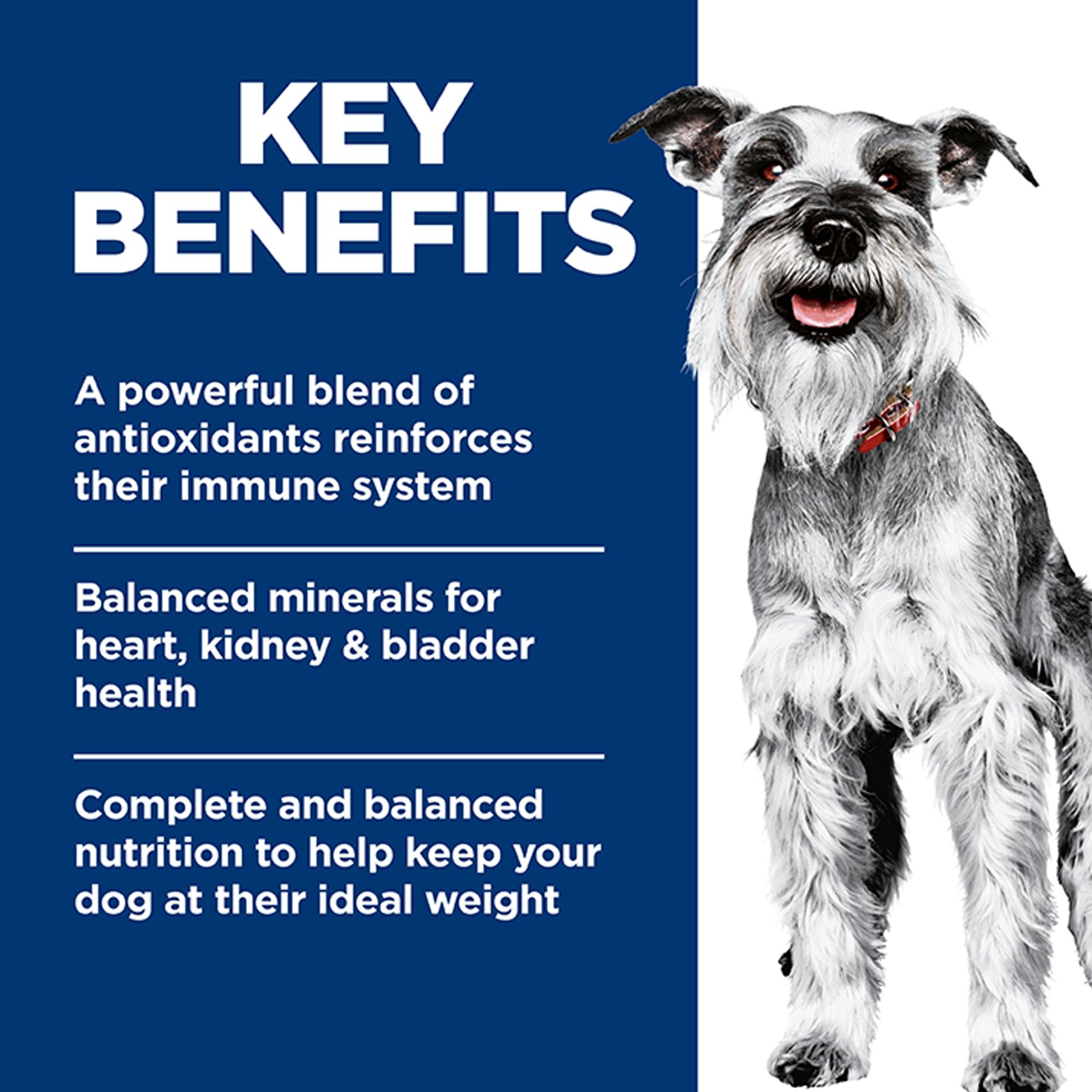 Hill's Science Diet Small & Mini Senior 7+ Wet Dog Food - Chicken & Barley Entree, - Image 5
