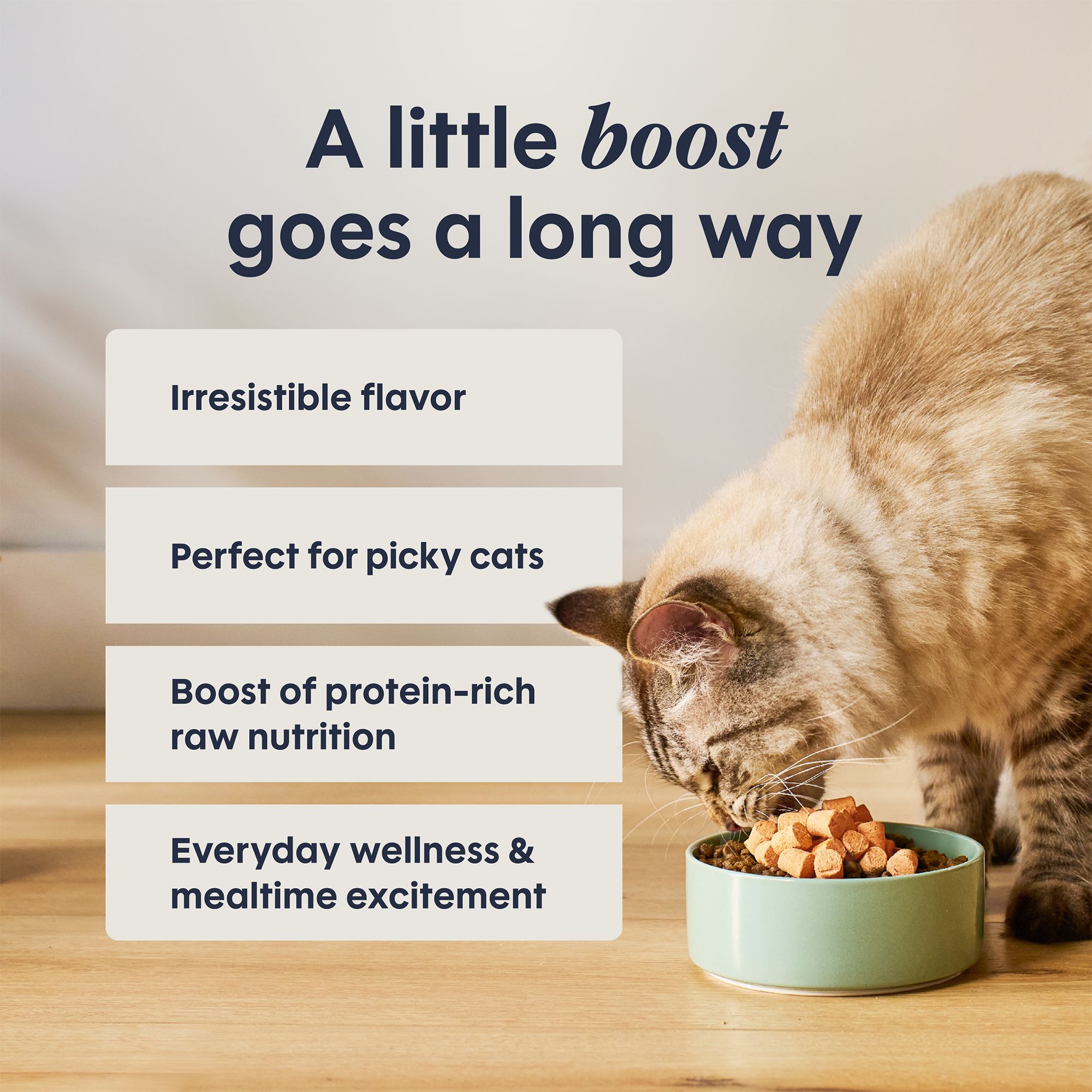 Instinct® RawBoost Mixers Digestive Health Cat Food Topper - Natural, Grain Free - Image 4