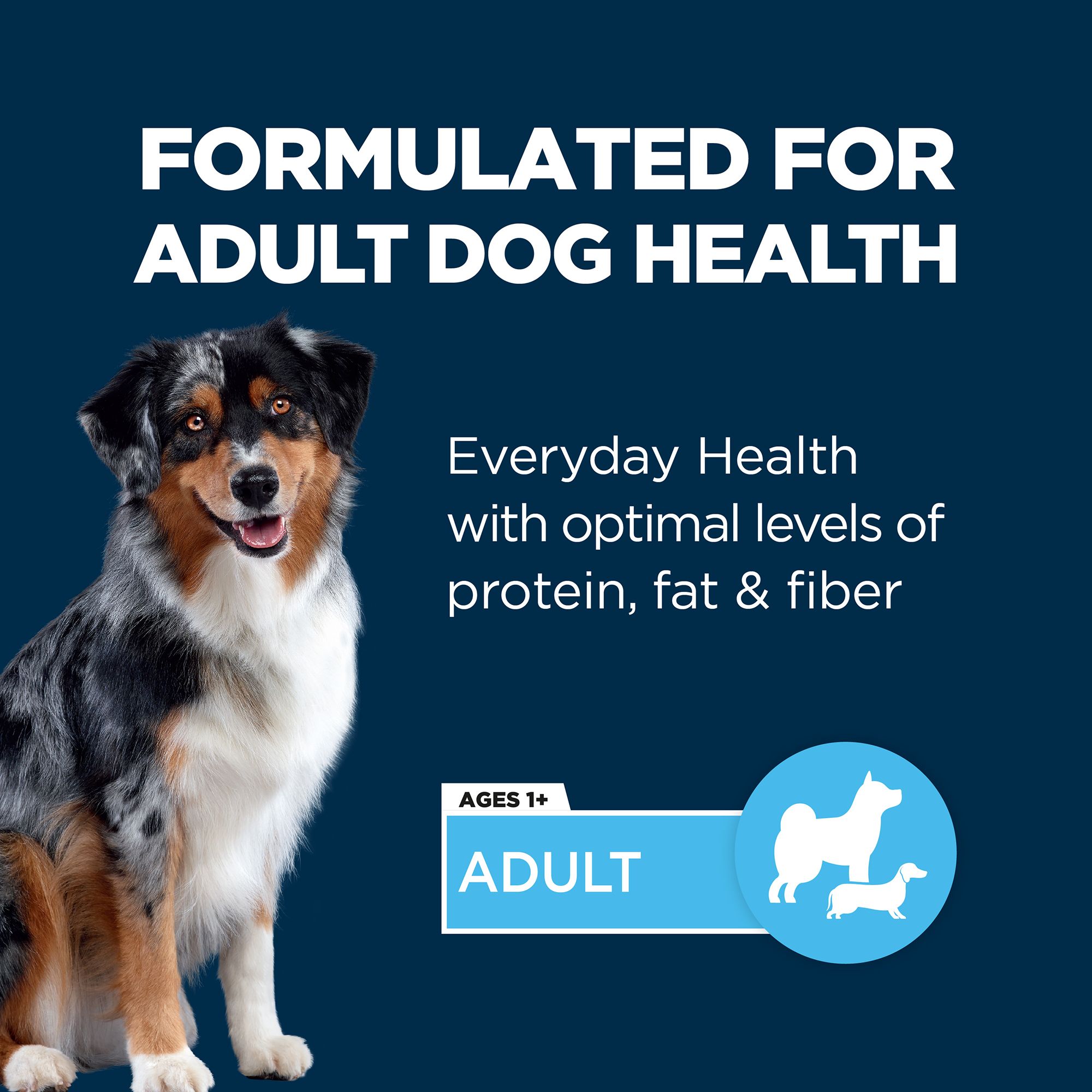 Authority® Everyday Health Adult Wet Dog Food - Image 2