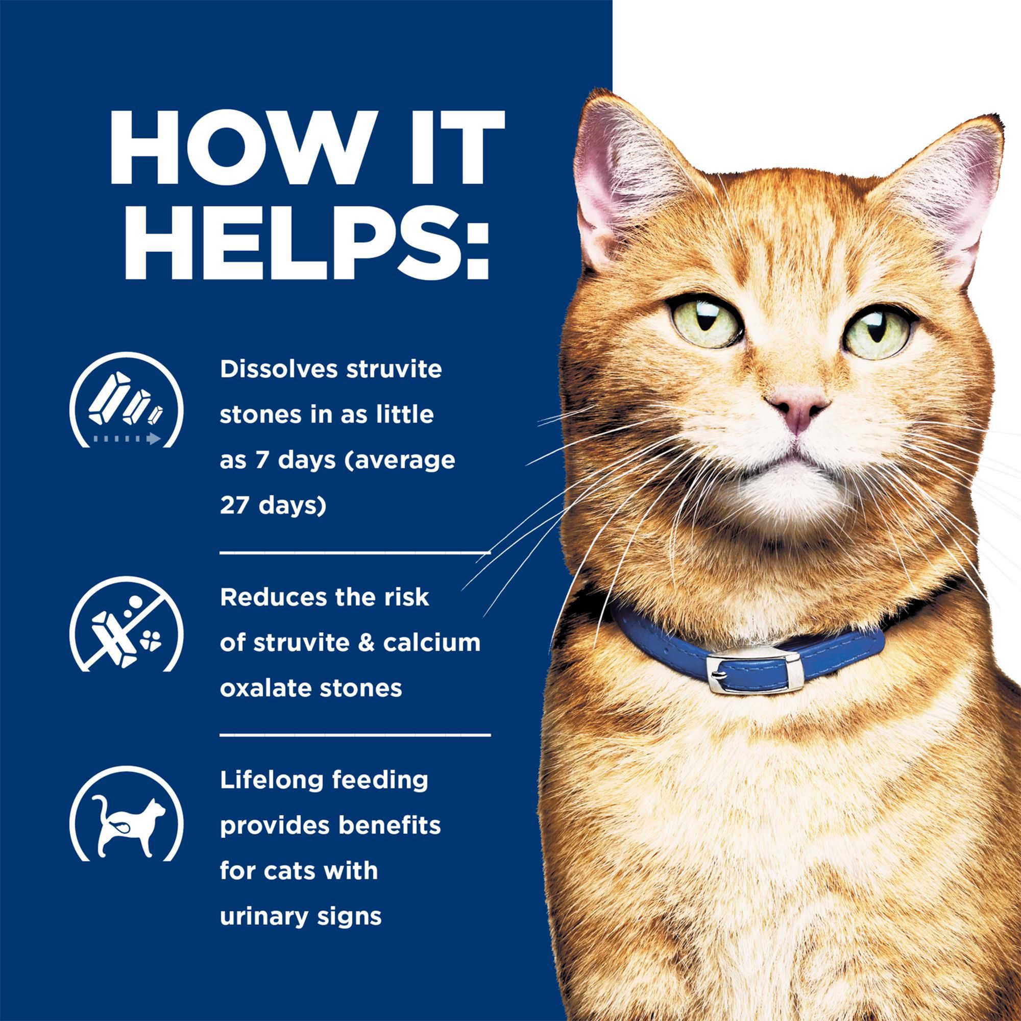 Hill's® Prescription Diet® c/d Multicare Urinary Care Cat Food - Ocean Fish - Image 5