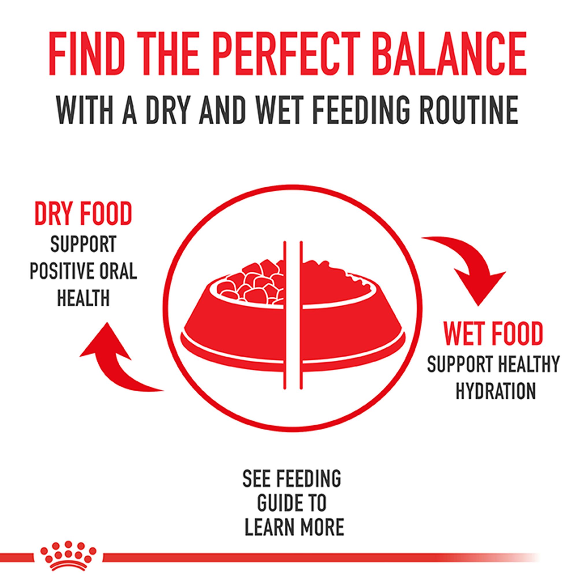 Royal Canin Canine Health Nutrition Beauty Adult Wet Dog Food – Loaf in Sauce - Image 3