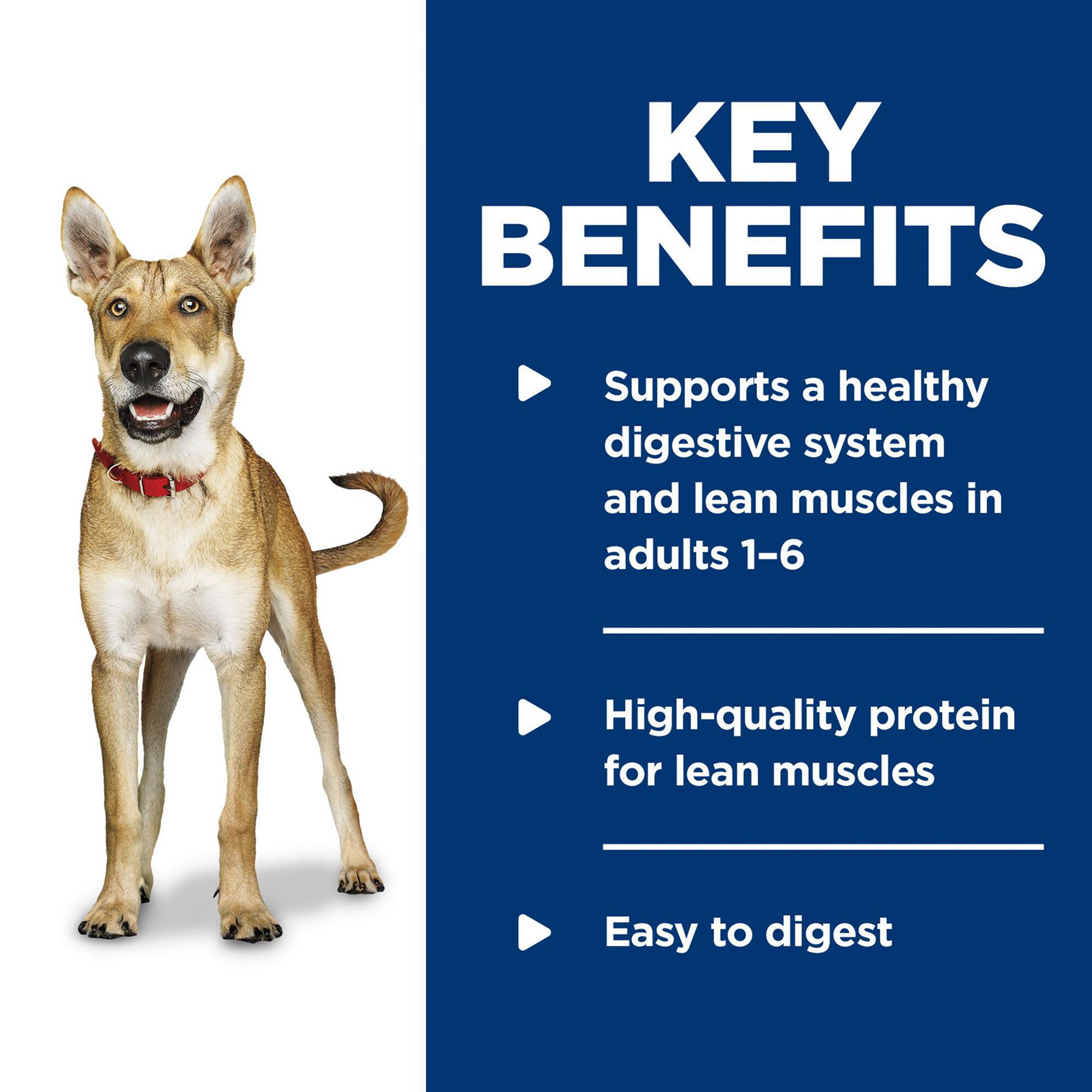 Hill's® Science Diet® Savory Stew Adult Wet Dog Food - Image 6