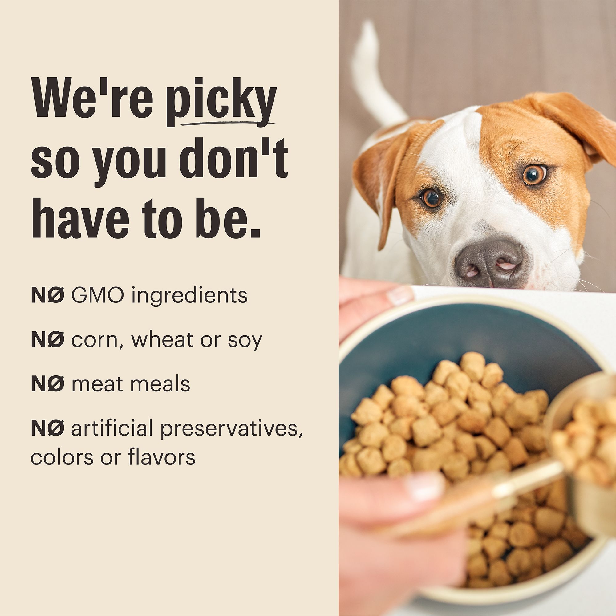 The Honest Kitchen Grain Free Clusters Adult Dog Dry Food - Image 6