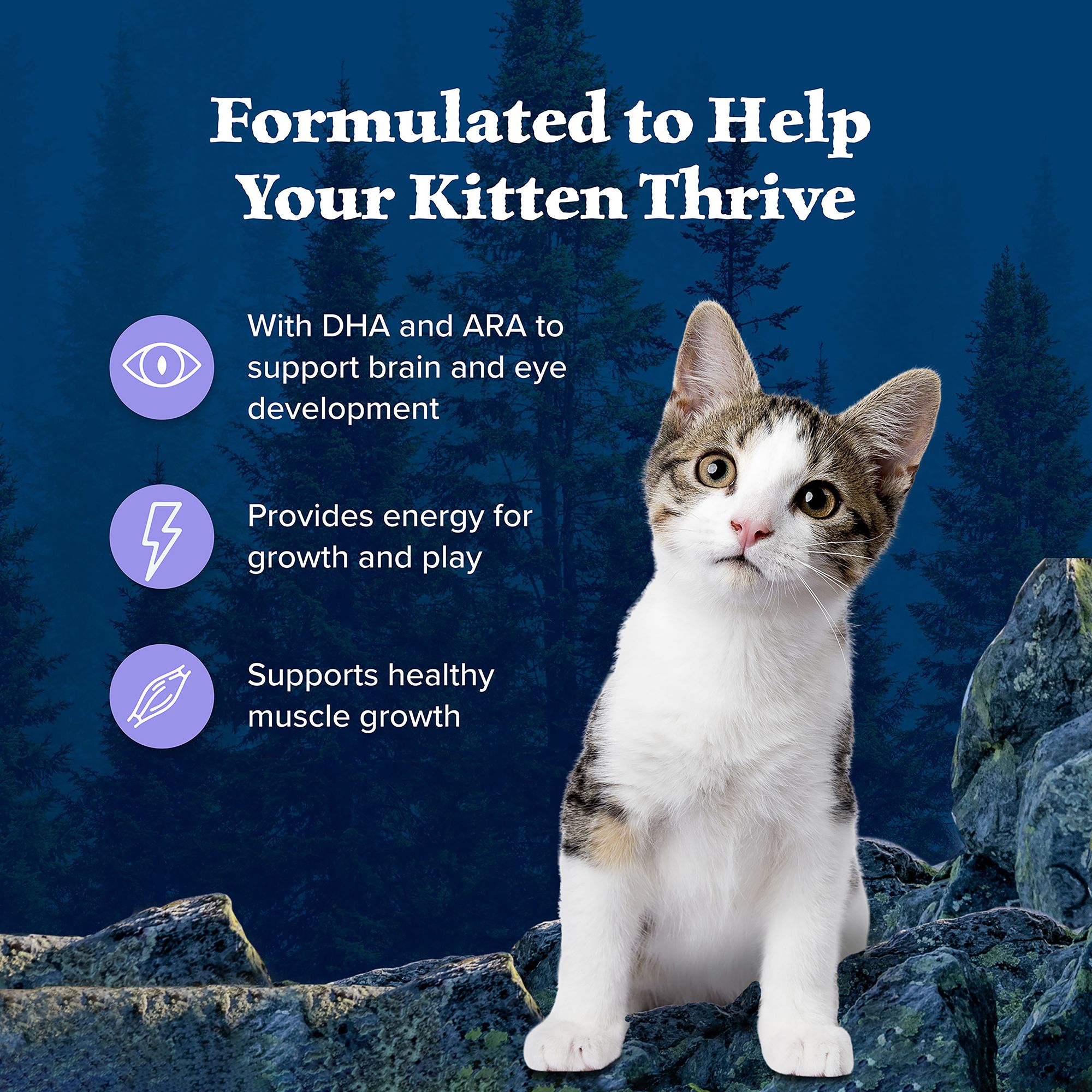 Blue Buffalo® Wilderness&trade;  Kitten Dry Cat Food - Grain Free, Chicken - Image 4