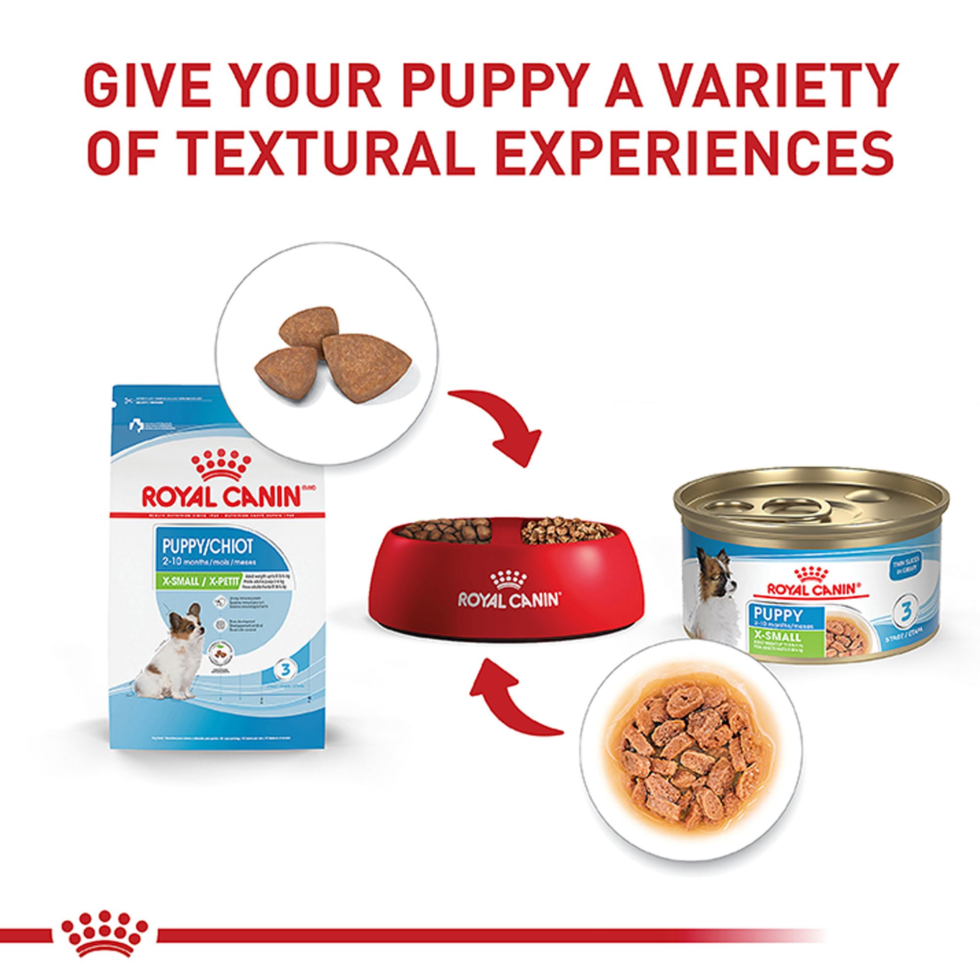 Royal Canin Size Health Nutrition X-Small Breed Puppy Dog Wet Food - Image 4
