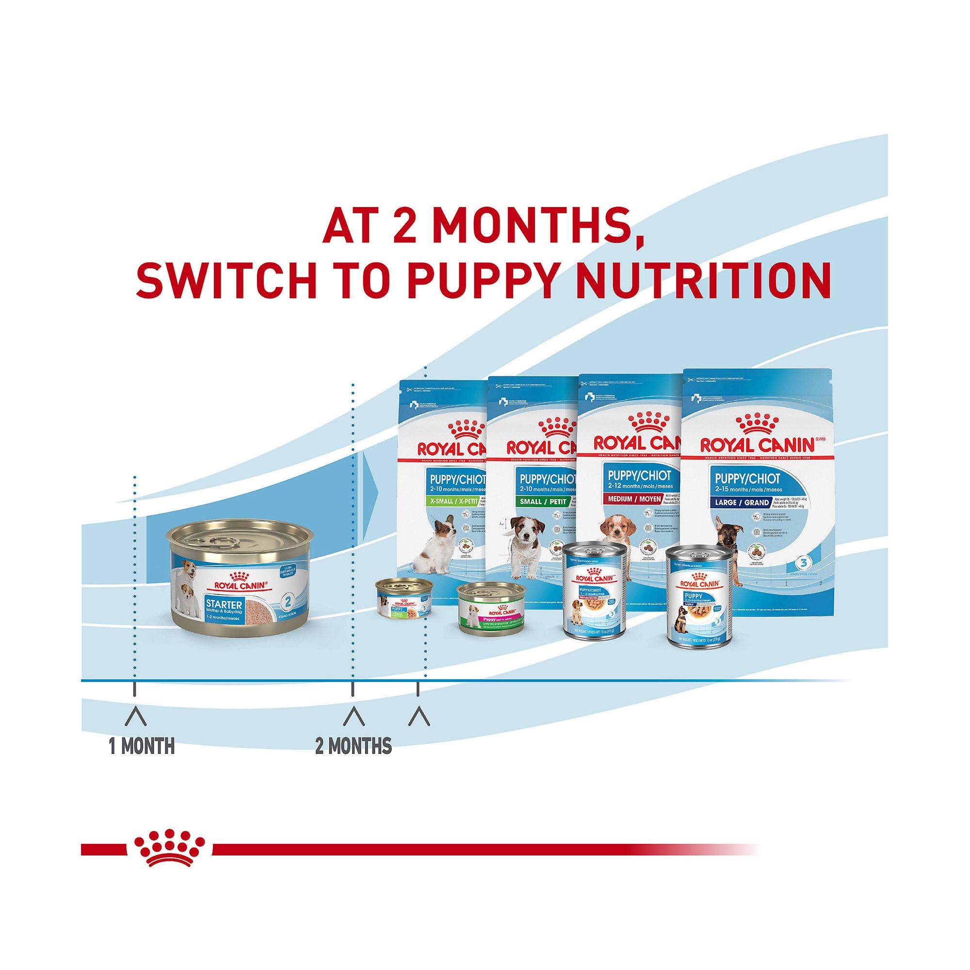 Royal Canin Size Health Nutrition Starter Mousse Wet Dog Food for Mother & Babydog - Image 6