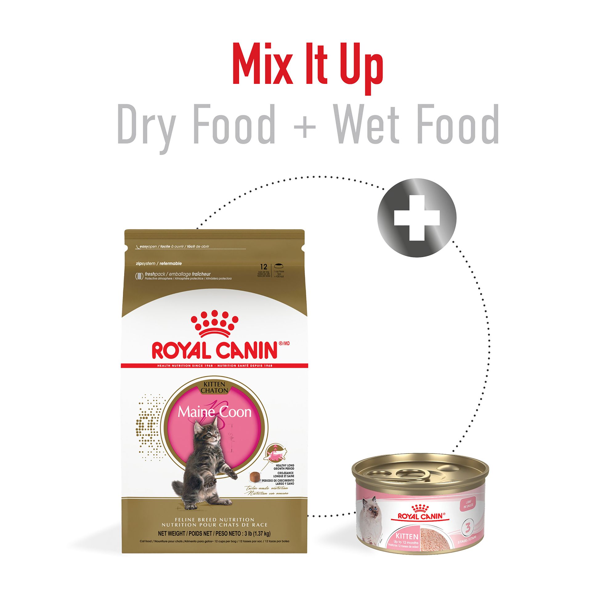 Royal Canin® Feline Breed Nutrition Maine Coon Breed Kitten Dry Cat Food - Image 6