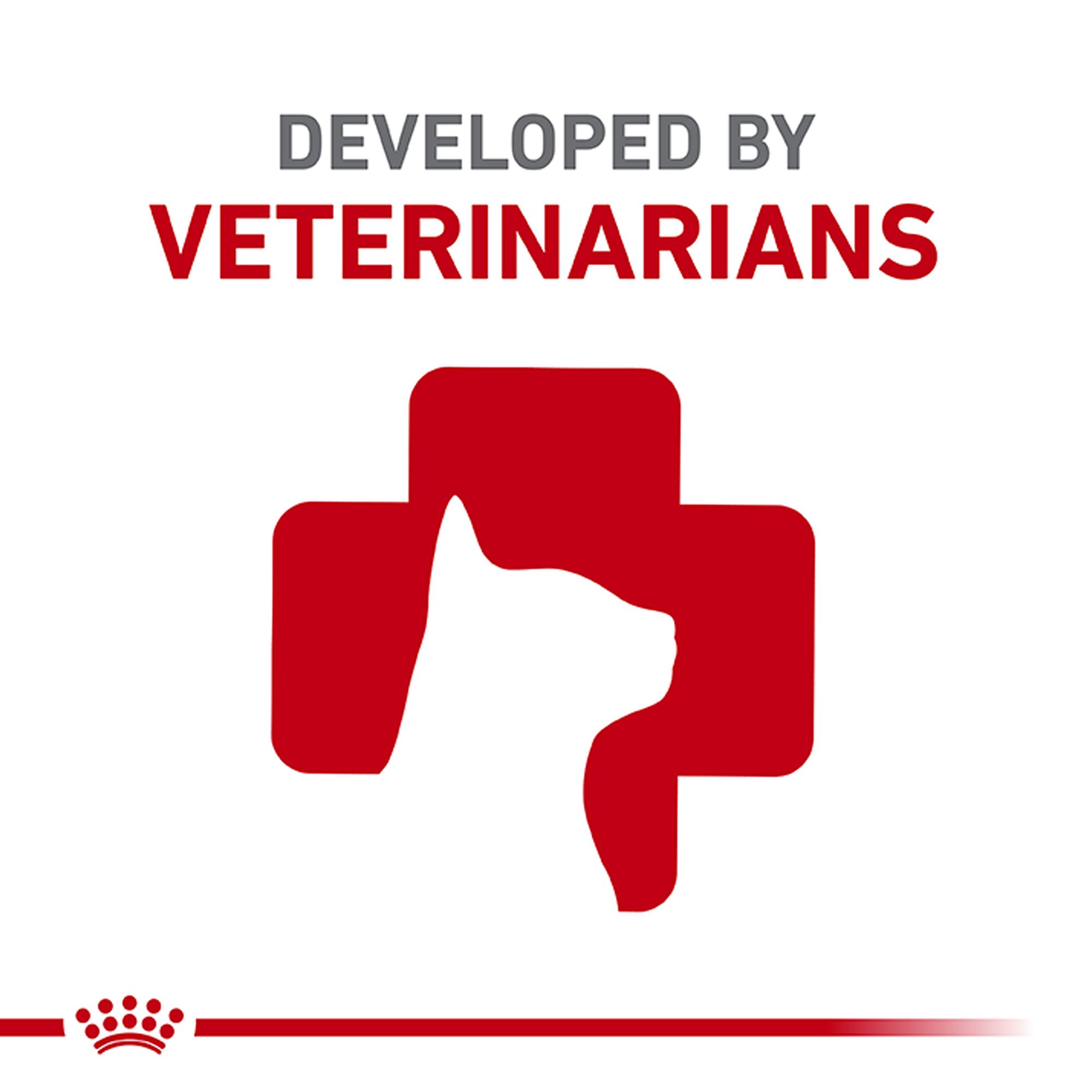 Royal Canin Hair & Skin Dry Adult Cat Food - Image 7