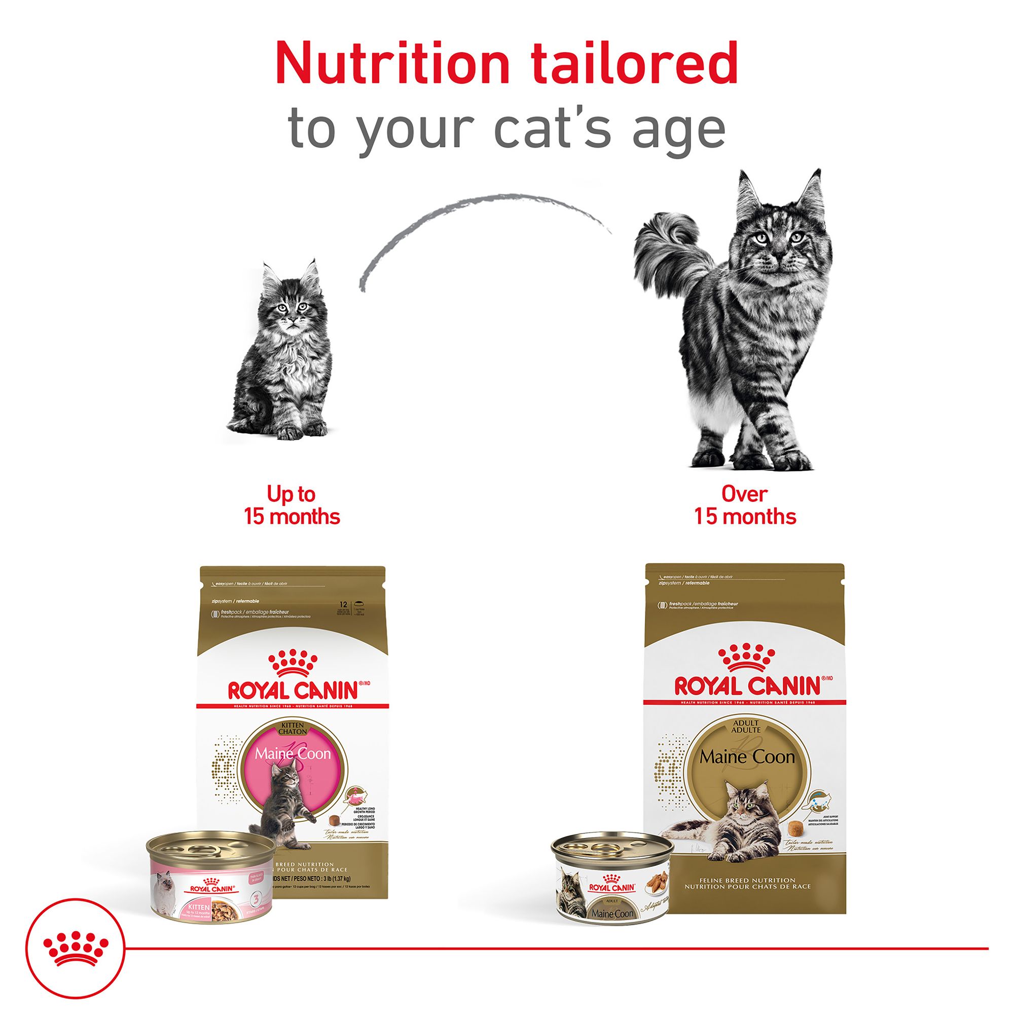 Royal Canin® Feline Breed Nutrition Maine Coon Breed Kitten Dry Cat Food - Image 7