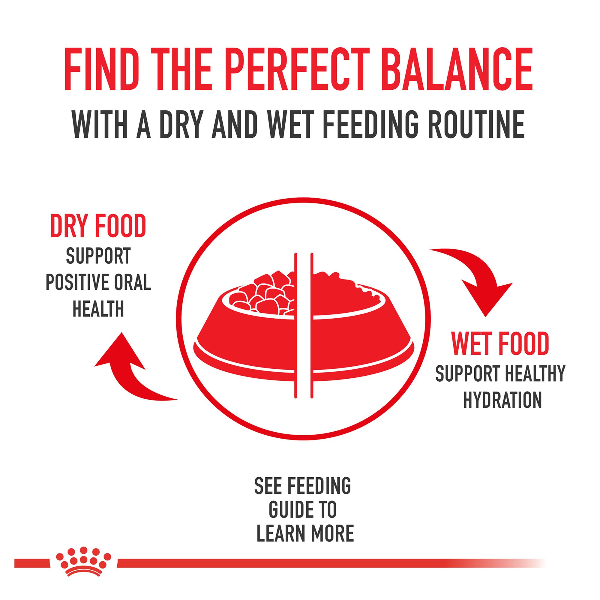 Royal Canin® Sensitive Digestion Dry Cat Food - Image 9