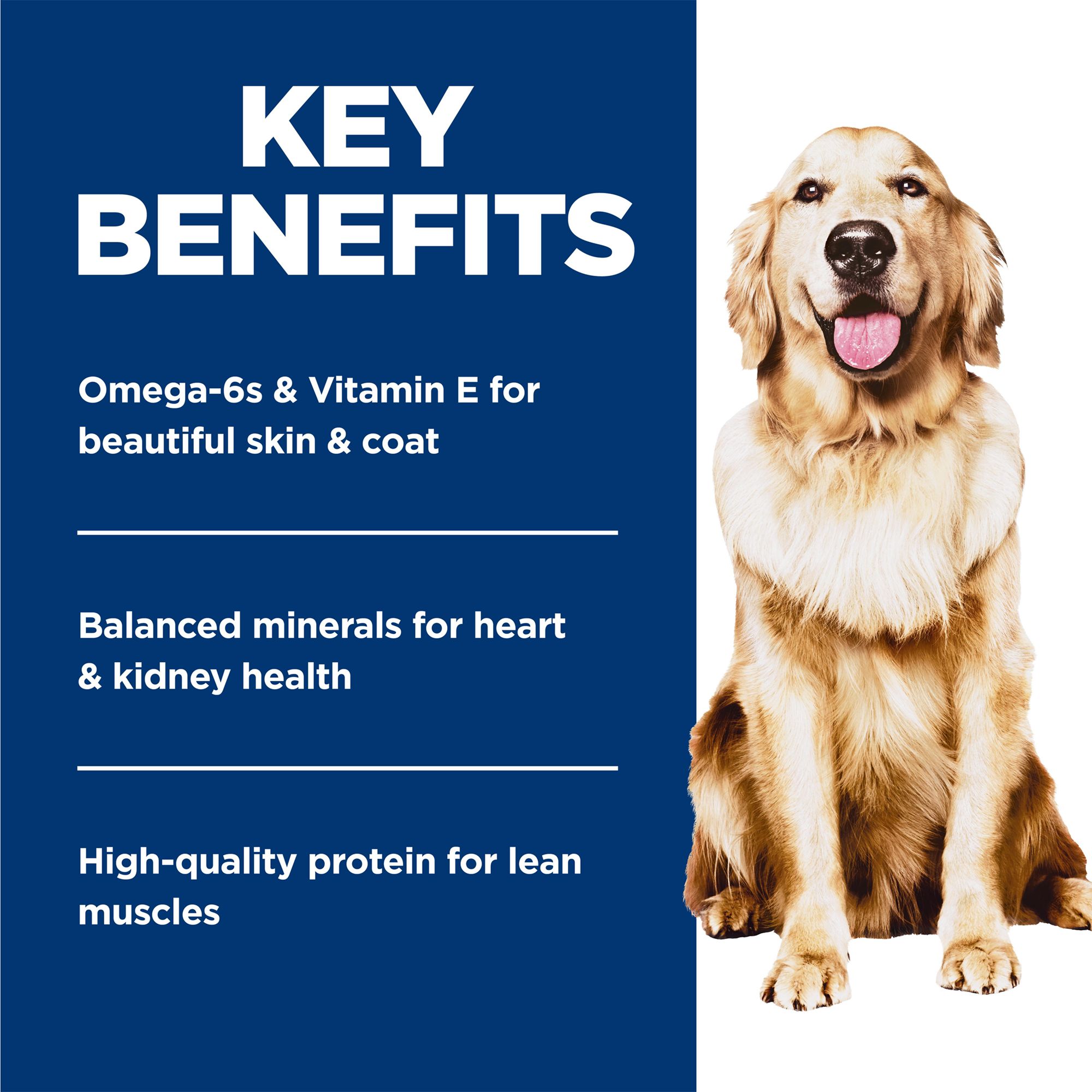 Hill's® Science Diet® Perfect Weight Adult Wet Dog Food - Image 4