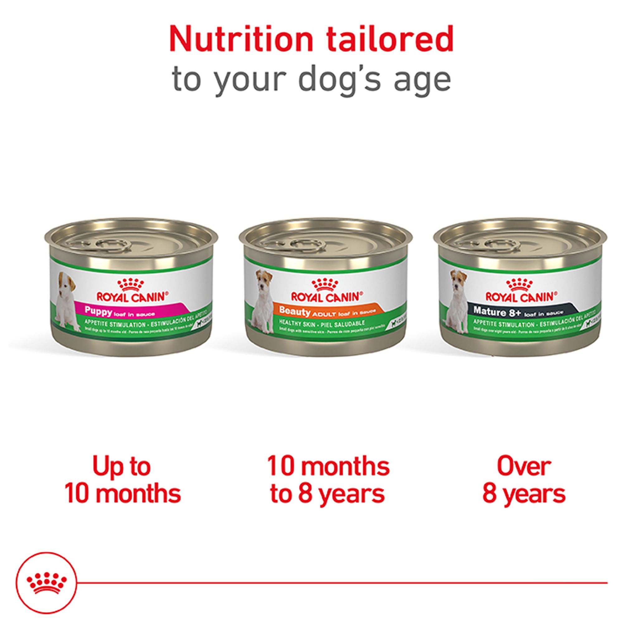 Royal Canin Canine Health Nutrition Beauty Adult Wet Dog Food – Loaf in Sauce - Image 4