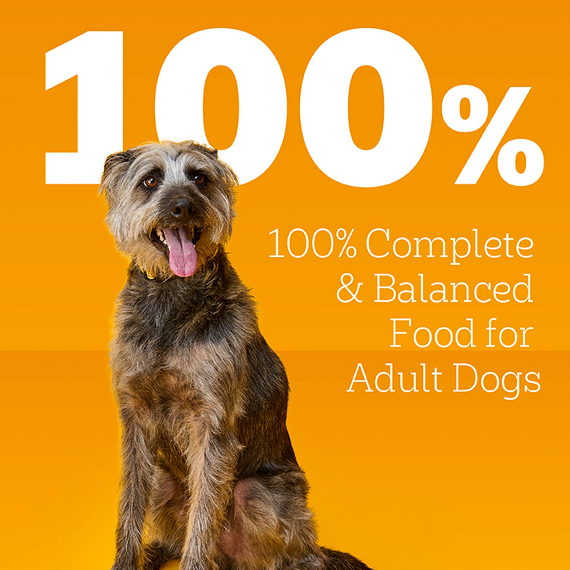 Pedigree Chopped Ground Dinner Adult Wet Dog Food with Beef - Image 4