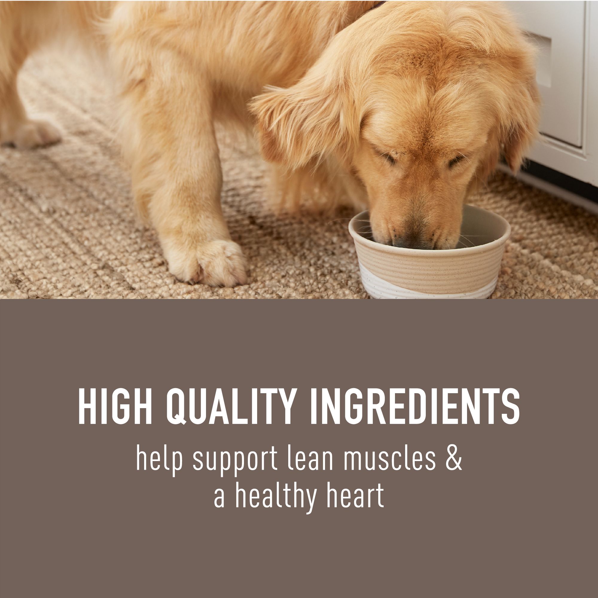 Simply Nourish Original Adult Wet Dog Food - Image 3