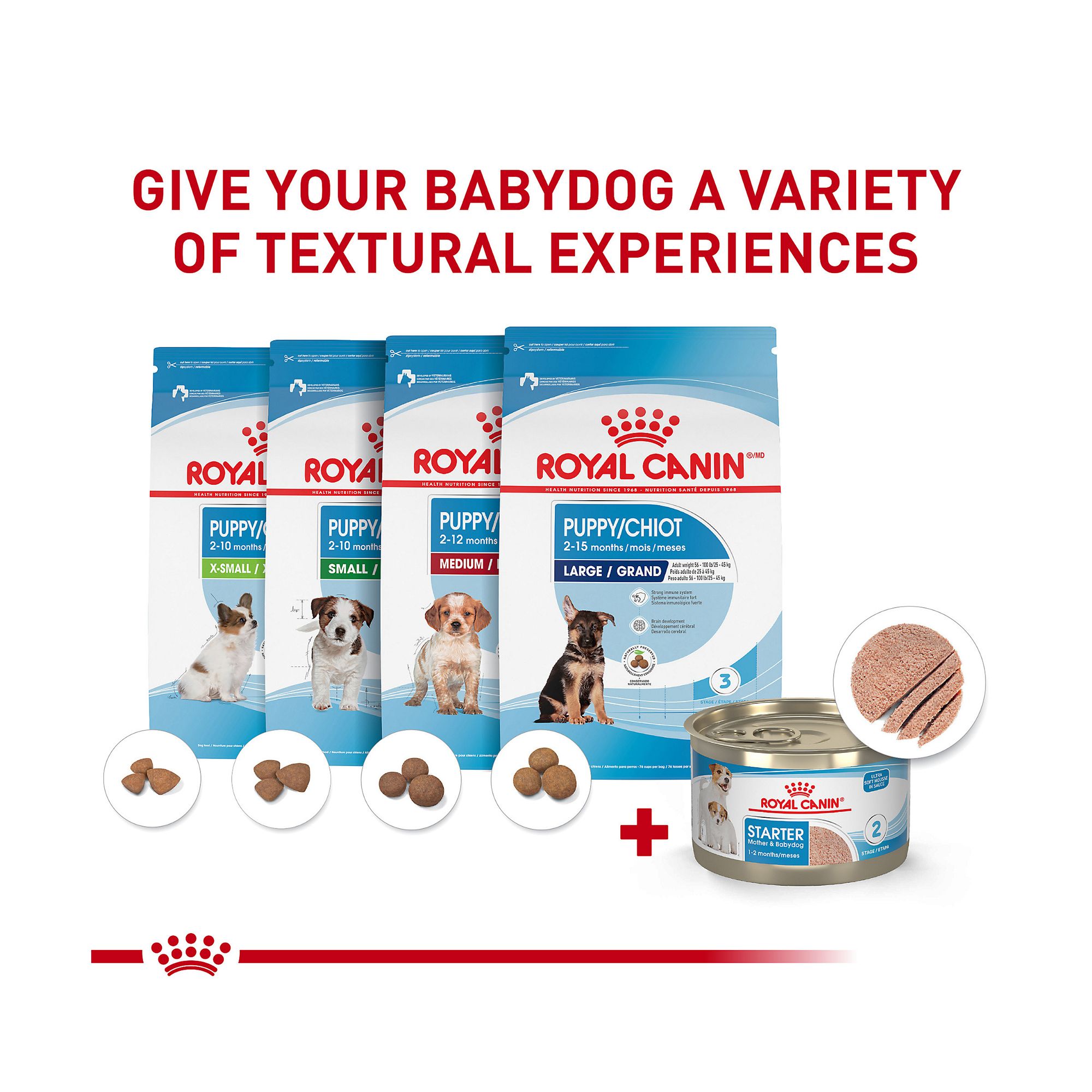 Royal Canin Size Health Nutrition Starter Mousse Wet Dog Food for Mother & Babydog - Image 5