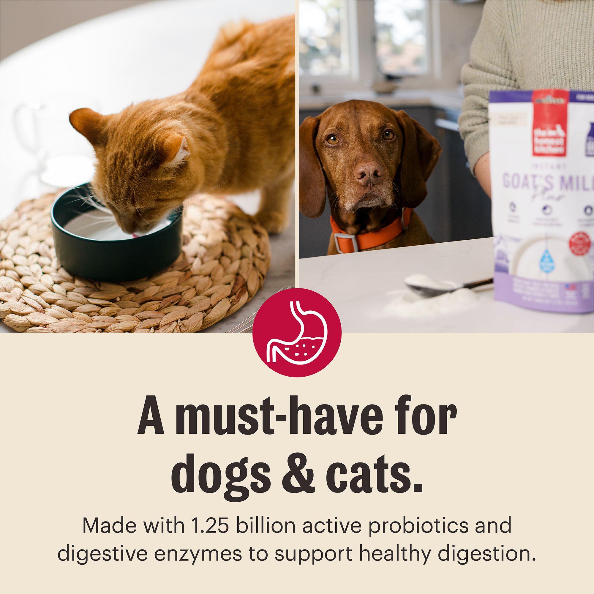 The Honest Kitchen Daily Boosters Dehydrated Goat’s Milk Dog Food Topper - Image 5