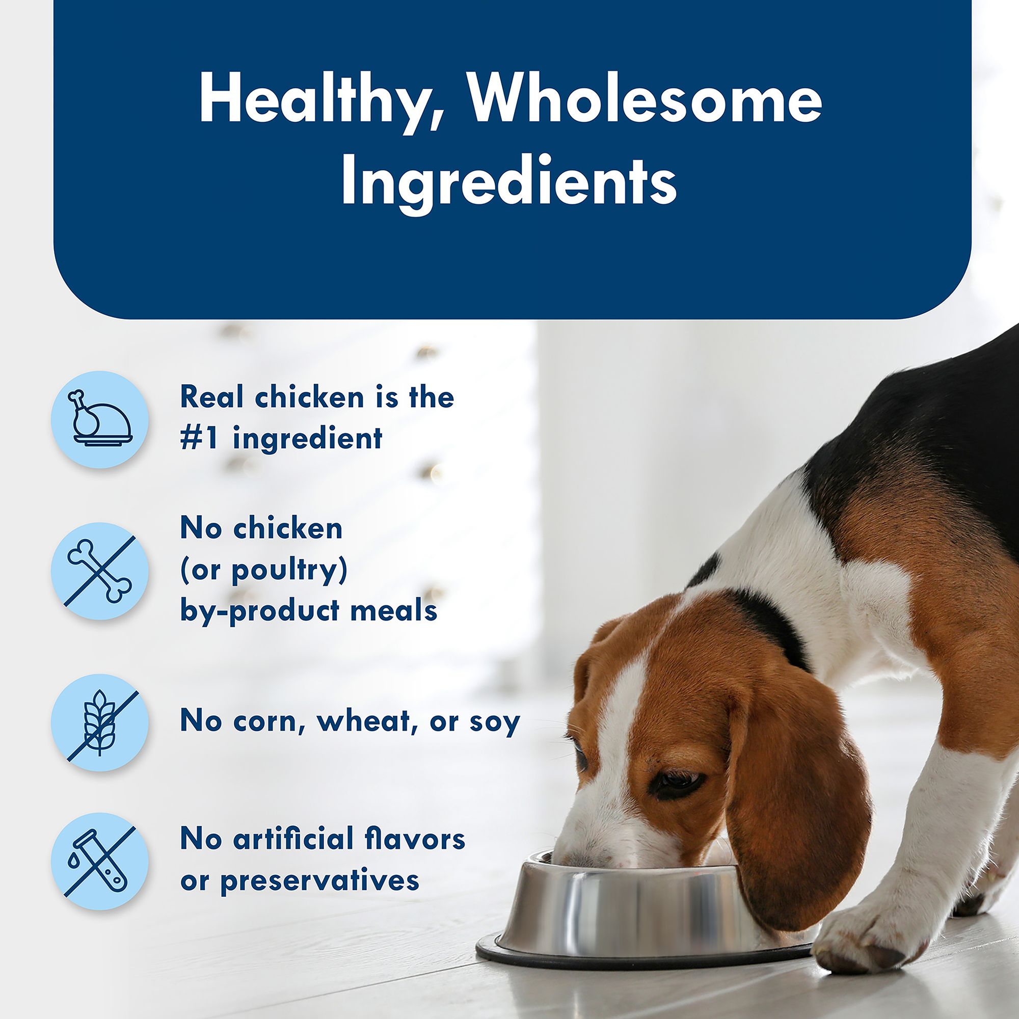 Blue Buffalo® Delights Small Breed Adult Wet Dog Food - Roasted Chicken in Gravy, - Image 6