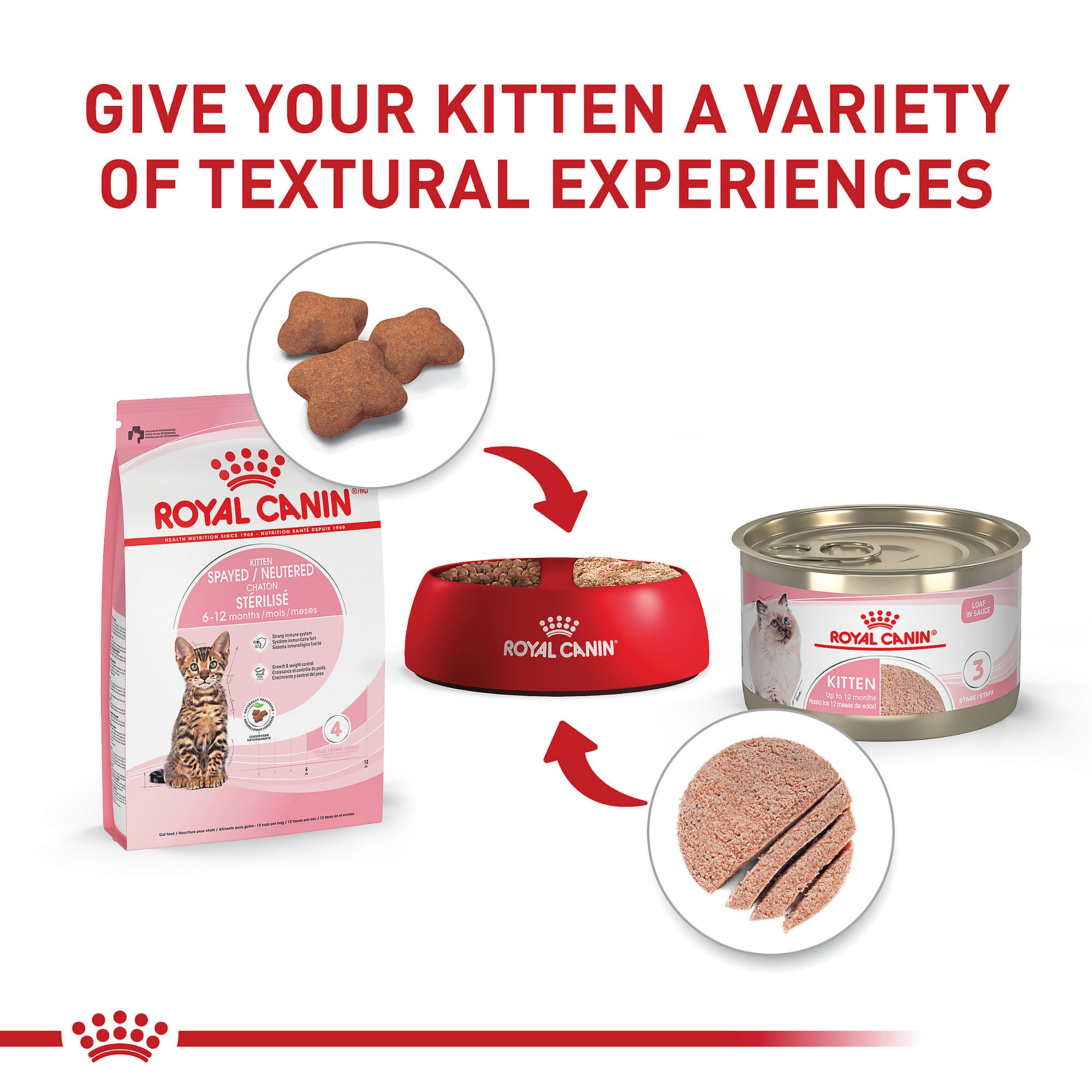 Royal Canin® Feline Health Nutrition Spayed/Neutered Kitten Dry Cat Food - Image 5
