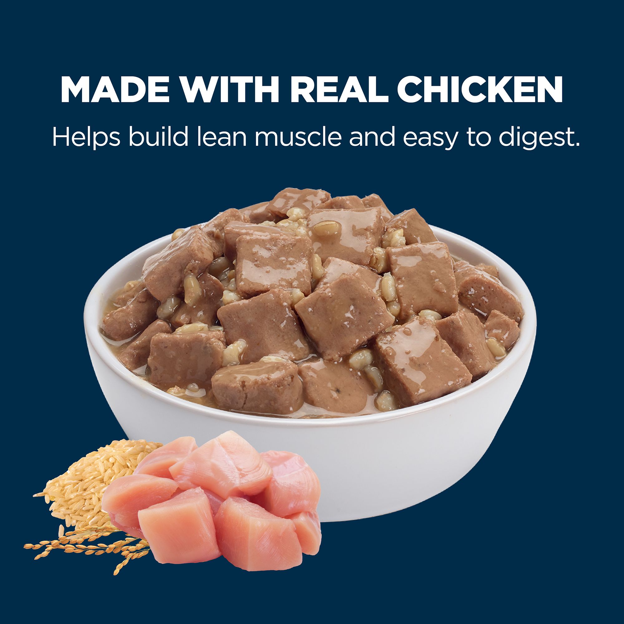 Authority® Everyday Health Adult Wet Dog Food - Image 3