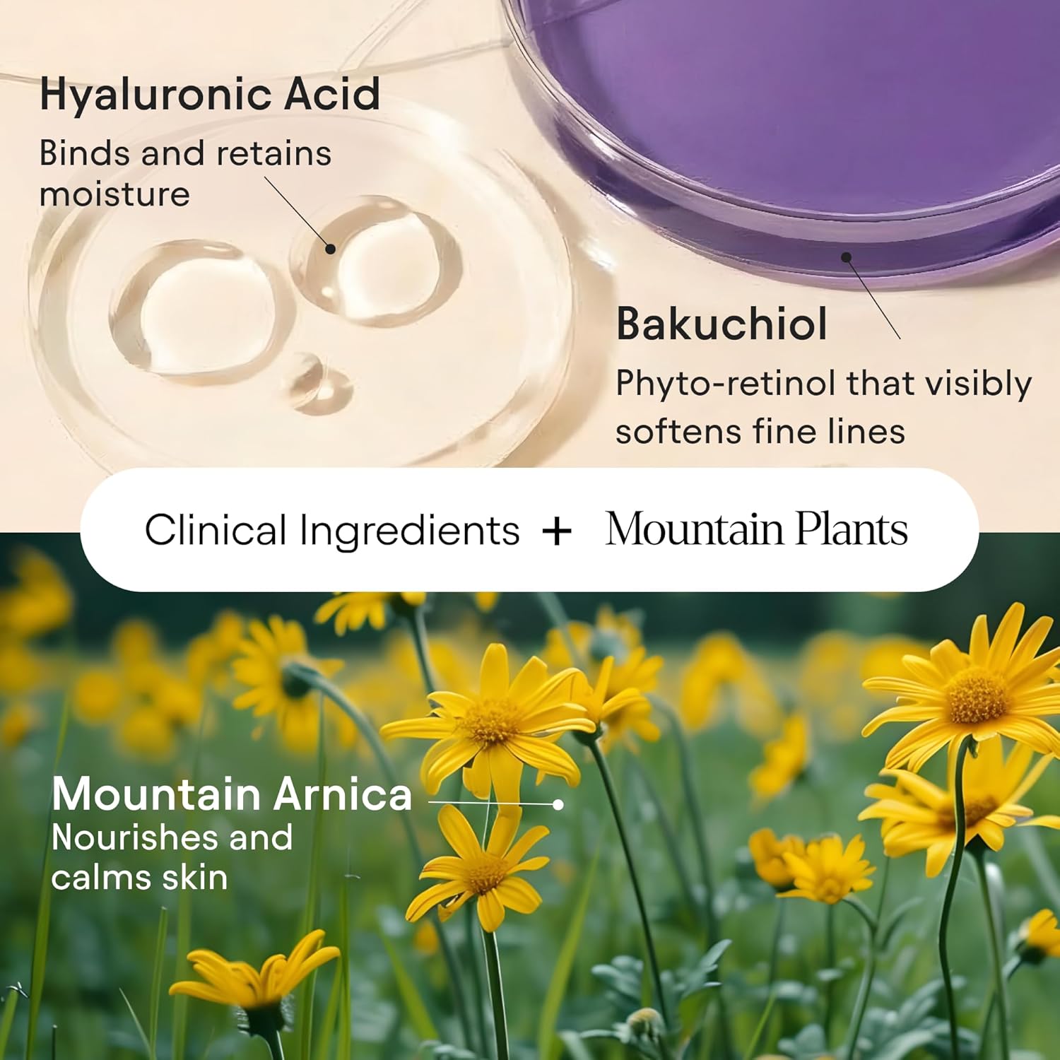 ALPYN Melt Moisturizer - Image 6